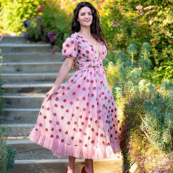 Hoarding Dresses Since 1985 - Picture 3 of 9